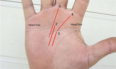 Career Fate Line Success Prediction From Your Palm - Destiny Palmistry