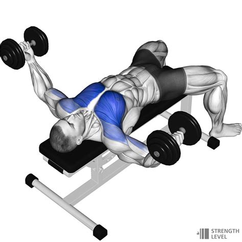 Dumbbell Fly How To - Strength Level