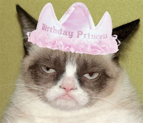 Grumpy cat birthday Blank Template - Imgflip