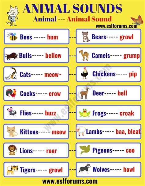 Learn Interesting Animal Sounds in English - ESL Forums