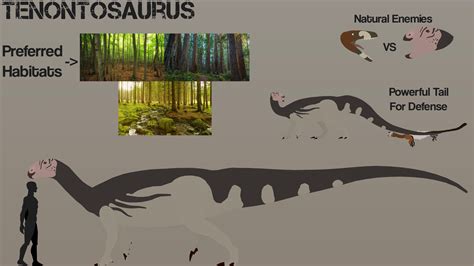 Species Profile - #11 Tenontosaurus by RexArtistry on DeviantArt