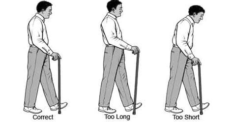 How to Use a Cane for the Best Safety and Support – DailyCaring | Walking sticks, Walking canes ...