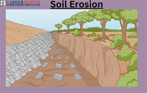 Soil Erosion: Definition, Effects, and Preventions