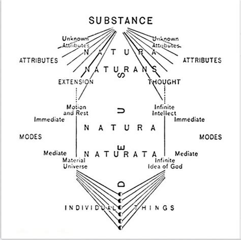 Clearance Unlimited: Natura naturans vs. Natura naturata