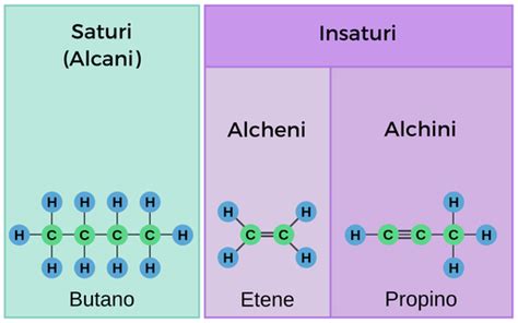 Idrocarburi saturi e insaturi - Labster Theory