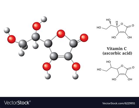 Structural chemical formulas of ascorbic acid Vector Image