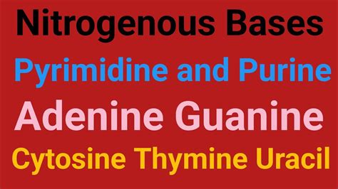 Nitrogenous bases|Pyramidines|Purines|Structure of Adenine, Guanine, Cytosine , thymine, uracil ...