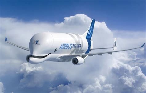 Airbus Beluga XL Price, Engine, Cabin Interior, and Capacity - Aircraft Concept