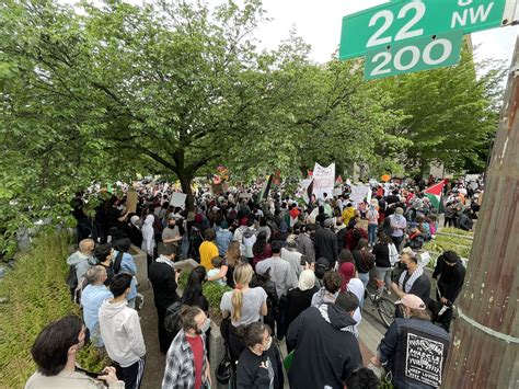 Hundreds in Washington D.C. Protest in Solidarity With Palestine - Protests.media