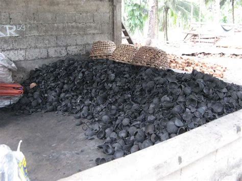 How to make charcoal from coconut shell ? - Shuliy®