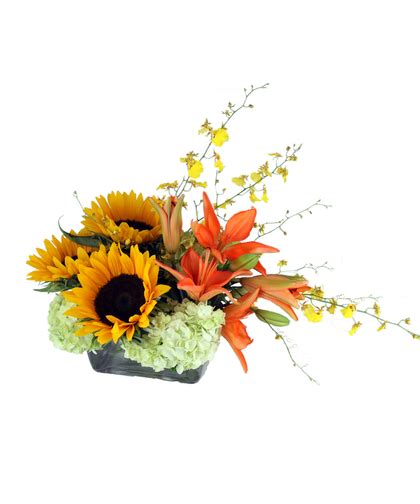 Grandeur - Nanz & Kraft Louisville, KY Flower Delivery Same Day Flower Delivery, Send Flowers ...