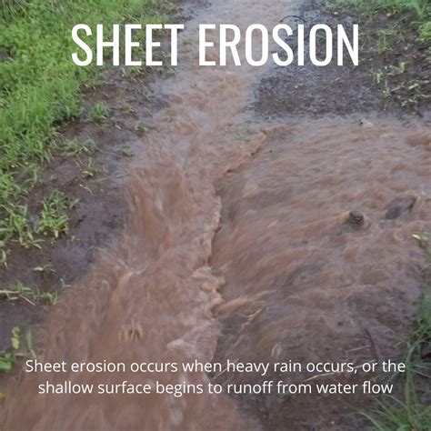 6 Types of Soil Erosion | GO Seed
