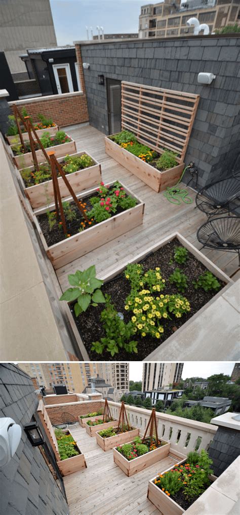 A mid-sized modern full sun rooftop landscaping with deck | Rooftop Garden Ideas & Designs ...