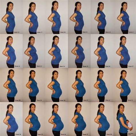 Pin on Pregnancy photoshoot