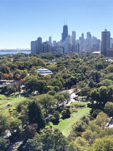 Chicagos Lincoln Park in Summer | Chicago travel, Chicago summer ...