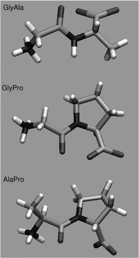 Molecular structure of the dipeptides studied. | Download Scientific Diagram