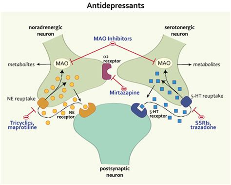 Antidepressants - Psychiatry - Medbullets Step 1