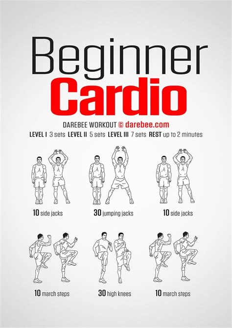 Beginner Cardio Workout | Cardio workout at home, Beginner cardio workout, Beginners cardio