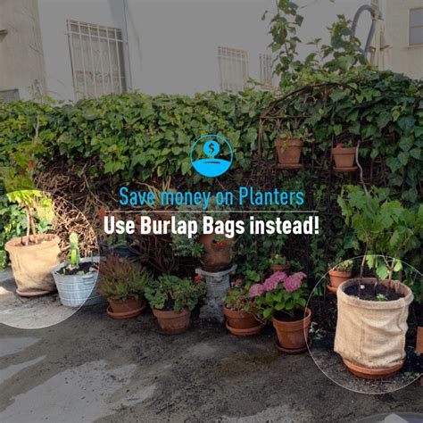 (50) 22x36 Burlap Bags Wholesale Bulk - Sacks Potato Race Sandbags Home Depot | eBay