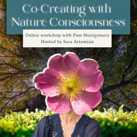 Co-Creating with Nature Consciousness a free online workshop with Pam ...