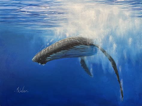 Learn How To Paint A Whale