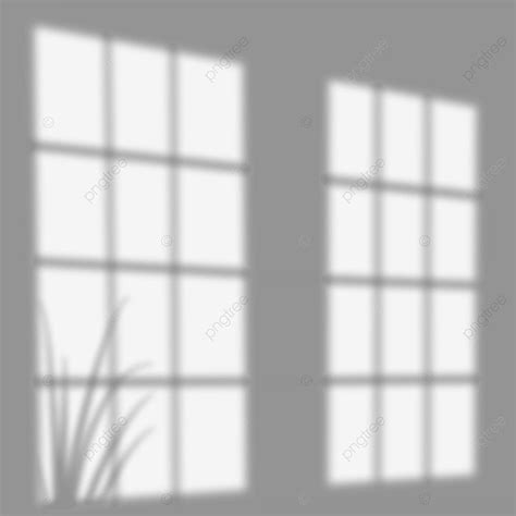 Square Windows, Big Windows, Window Shadow, Vintage Png, Window Plants, Window Light, Window ...