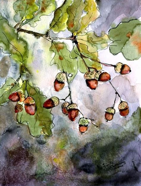 Acorns by Ginette Callaway | Oak tree drawings, Acorn painting, Watercolor trees