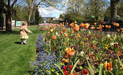 Discovering Bristol Zoo Gardens - Visit Bristol