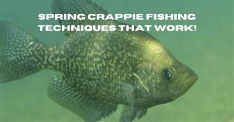 Spring Crappie Fishing Techniques | Surefire Tips