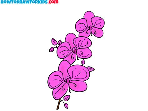 How to Draw an Orchid - Easy Drawing Tutorial For Kids