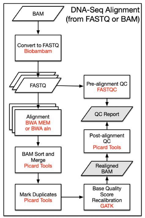 Bioinformatics Pipeline: DNA-Seq Analysis - GDC Docs