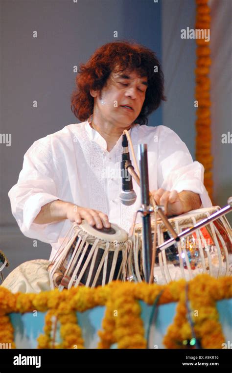 South Asian Indian tabla expert Zakir Hussain live performance Stock Photo: 4045589 - Alamy