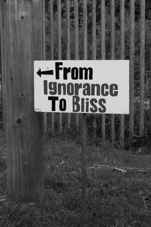 Ignorance Is Bliss Funny Quotes. QuotesGram