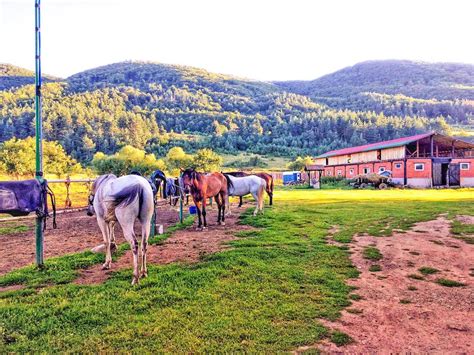 Filming at Vitosha National Park| Filmapia - real sites . reel sites