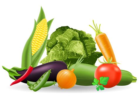 still life of vegetables vector illustration 488814 Vector Art at Vecteezy