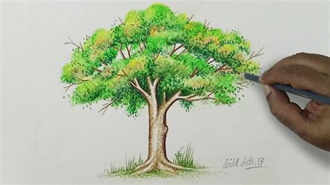 Tree Drawing With Color Step By Step | 101hannelore