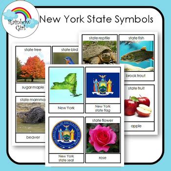 New York State Symbols by Rainbow Girl | TPT