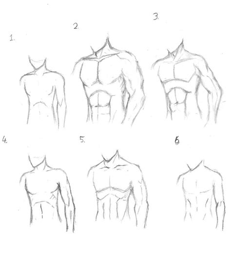 Back Muscles Reference Drawing : Muscular Back Study 01 by spacehater on DeviantArt ...