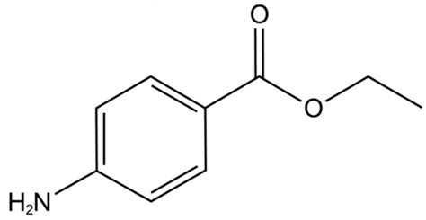 Benzocaine | Uses, Products, Precautions and Alternatives