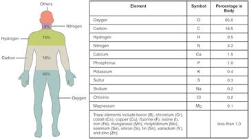 Trace Elements: Definition & Explanation - Video & Lesson Transcript ...