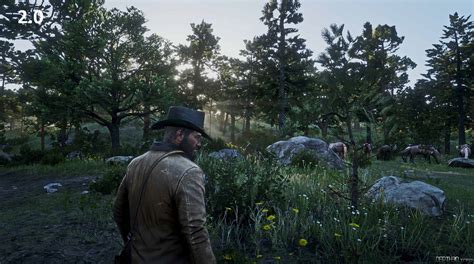 PHOTOREALISTIC RESHADE PRESET RDR2 - Red Dead Redemption 2 Mod