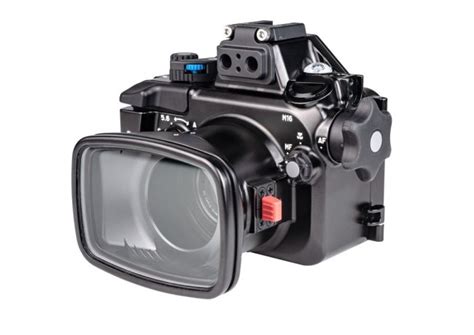 Best Dive Camera Reviews + Scuba Camera Info (2021 UPDATE)