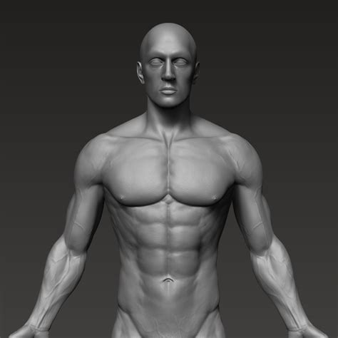 ArtStation - Anatomically correct muscular male body Low and High Poly Low-poly 3D model | Resources