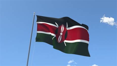 Makueni Senator Mutula Kilonzo Plans to Have Kenyans Raise Flags in ...