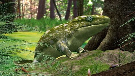 Devonian Animals - Devonian Fish Sidesteps Current Evolutionary Theory : The devonian period has ...