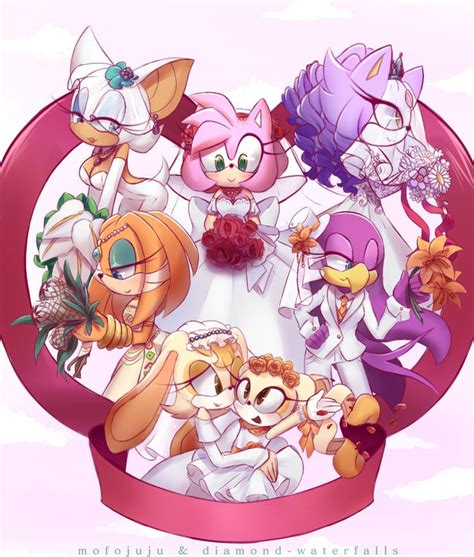 Wedding Girls by Diamond-waterfalls Sonic Boom Amy, Sonic And Amy, Sonic And Shadow, Sonic The ...