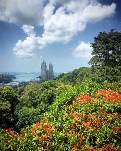 17 Nature Parks & Nature Reserves To Visit In Singapore Now That We're ...