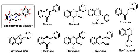 Iron Complexation and Flavonoids | Encyclopedia MDPI