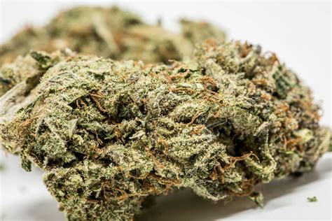 Gorilla Glue #4 Strain of Marijuana | Weed | Cannabis | Herb | Herb