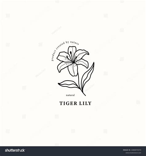 Tiger Lily Tattoo Drawing